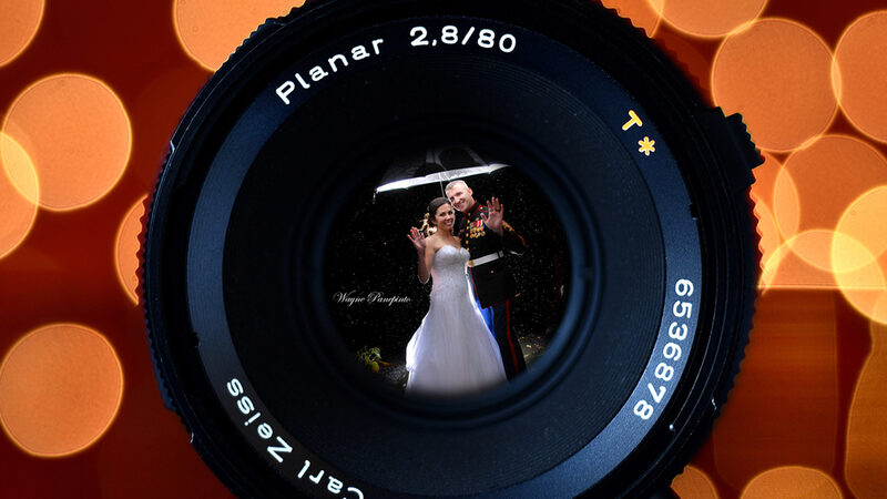 PHOTO CREATIONS BY WAYNE PANEPINTO