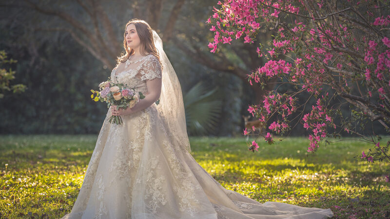 BREWYET PHOTOGRAPHY LLC