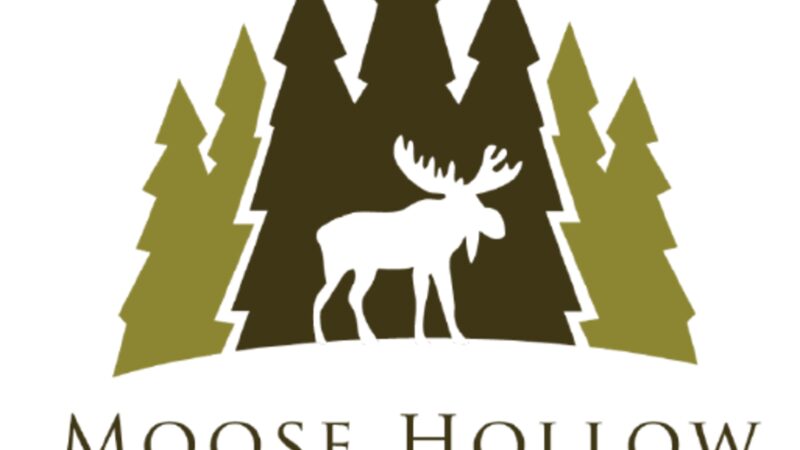 Moose Hollow Lodge