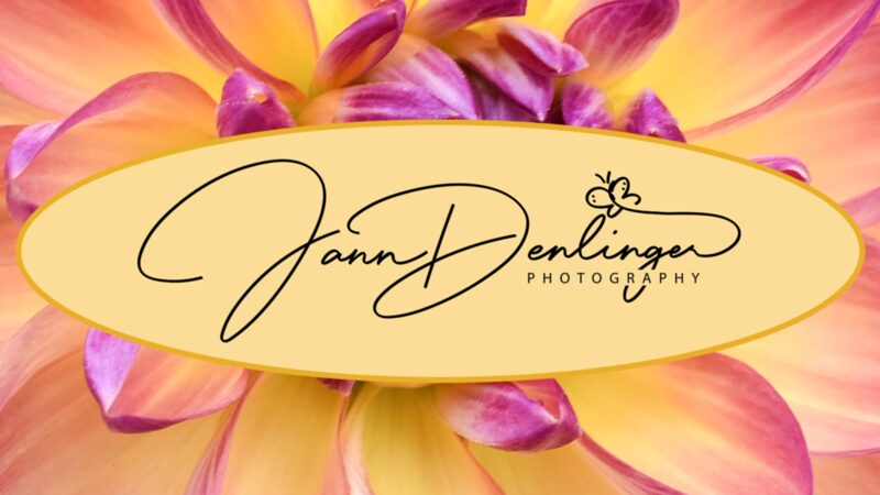 Jann Denlinger Photography