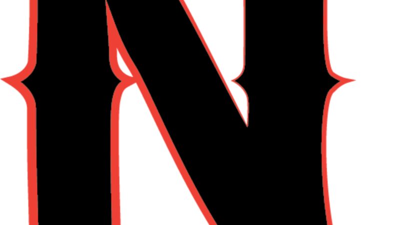N-Sound Mobile Entertainment