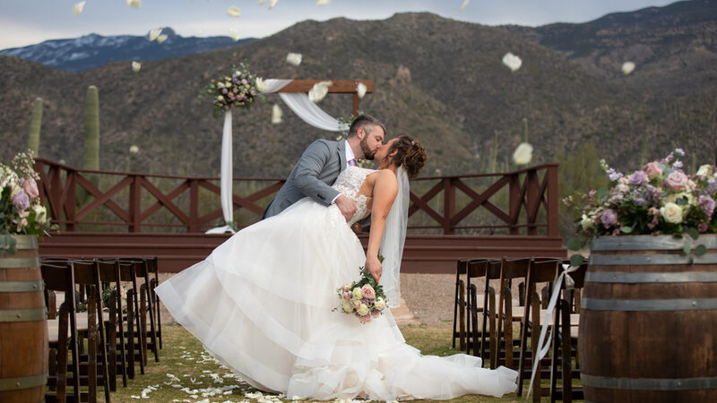 Steven Palm Photography