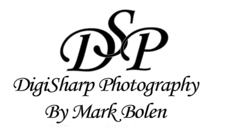 DigiSharp Photography