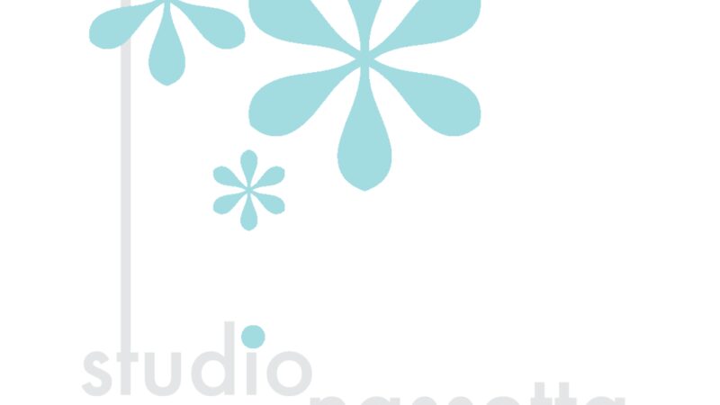 studio nassetta photography & design